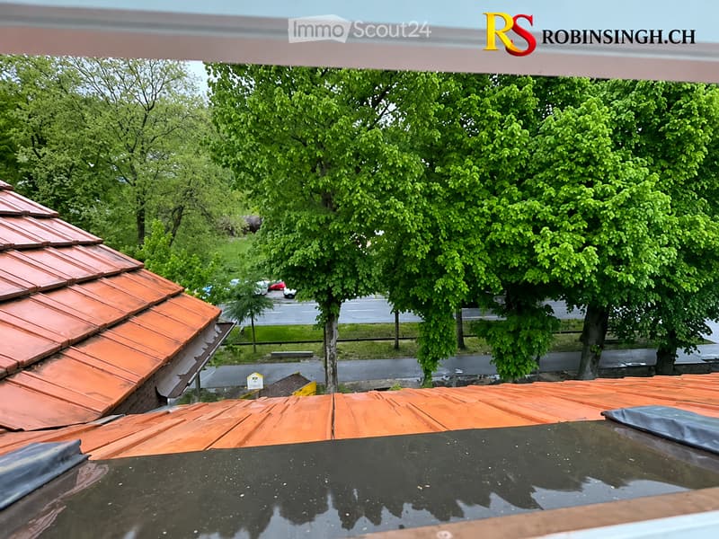 View of a rooftop with red-tiled sections and a black surface, surrounded by lush green trees and a road in the background.