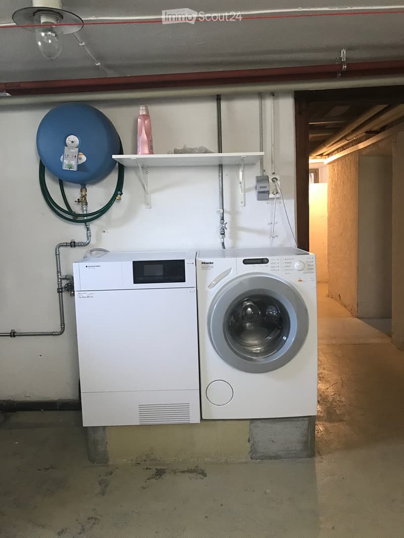 Utility room with a washing machine, dishwasher, and a shelf holding a bottle of cleaning solution.