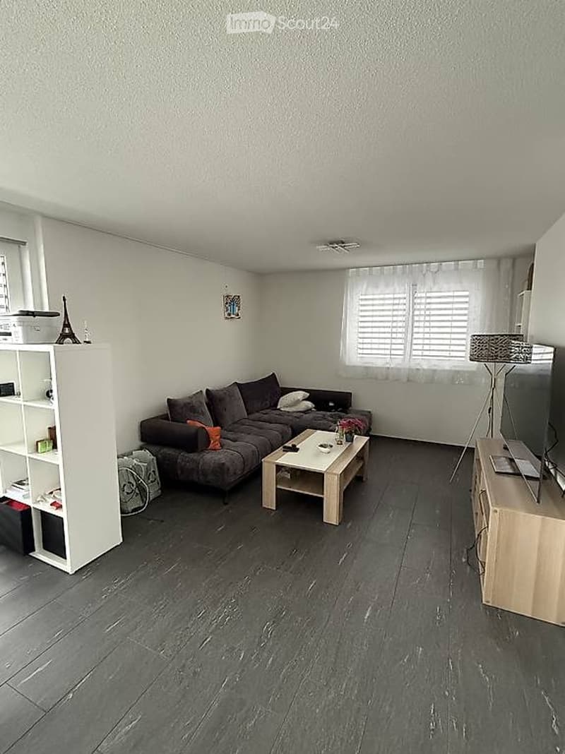 Modern living room with dark hardwood flooring, grey sectional sofa, coffee table, TV stand, and a white shelving unit with decorative items.