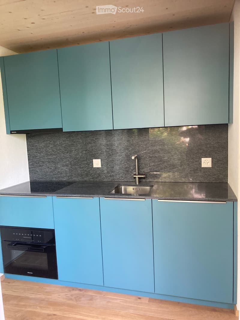 Modern kitchen with light blue cabinets, stainless steel sink, and built-in oven. The backsplash is dark grey, and the countertops are black.