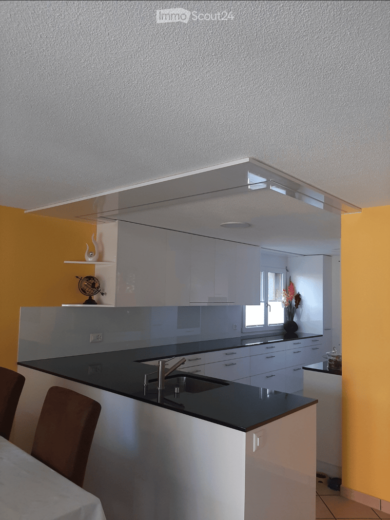 Modern kitchen with white cabinets, black countertops, and a sleek sink area. Features a globe on a shelf and a vase with flowers on the counter.