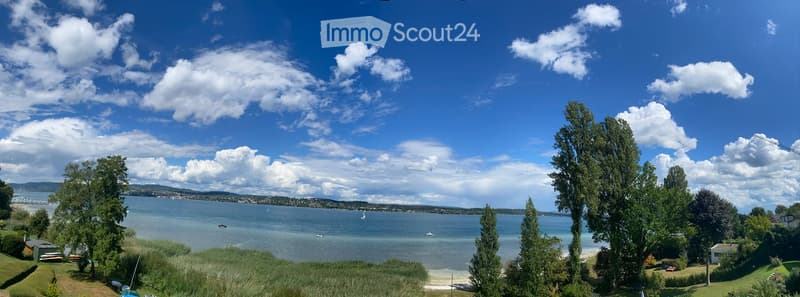 Scenic lakeside view with trees, boats, and distant shoreline.