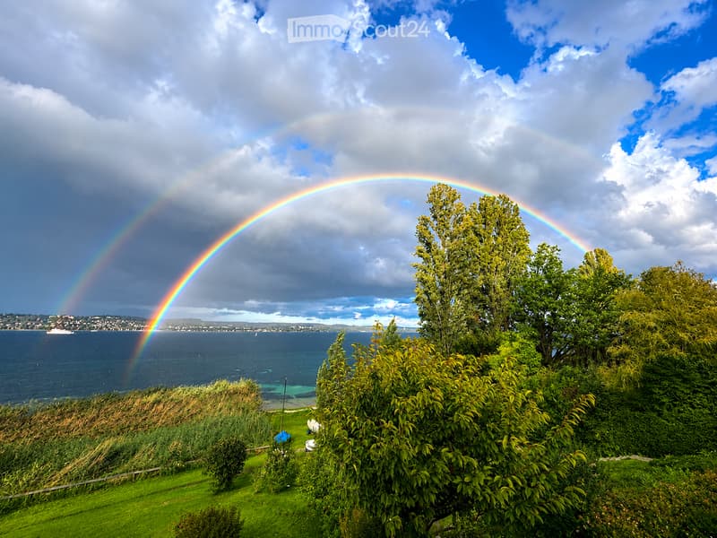 A scenic outdoor view with a double rainbow over a body of water, surrounded by lush greenery and trees. The landscape includes a grassy area in the foreground and a distant cityscape visible across the water.