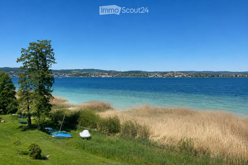 Lush green lawn with a tall tree, small boats, and a view of a large lake with distant town and hills.
