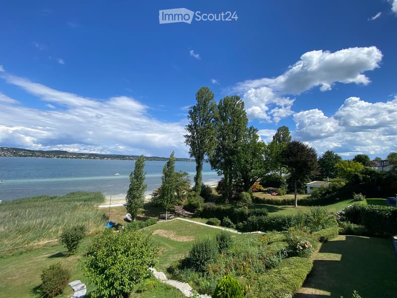Lush garden with a view of a lake, featuring trees, grass, a small wooden bench, and a pathway leading to the water.