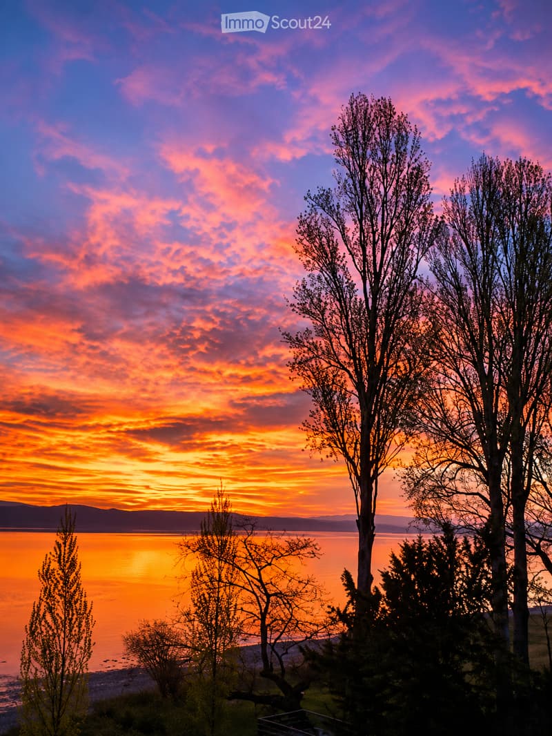 A serene sunset view over a calm lake, with vibrant pink and orange hues in the sky, silhouetted trees in the foreground, and distant mountains visible on the horizon.