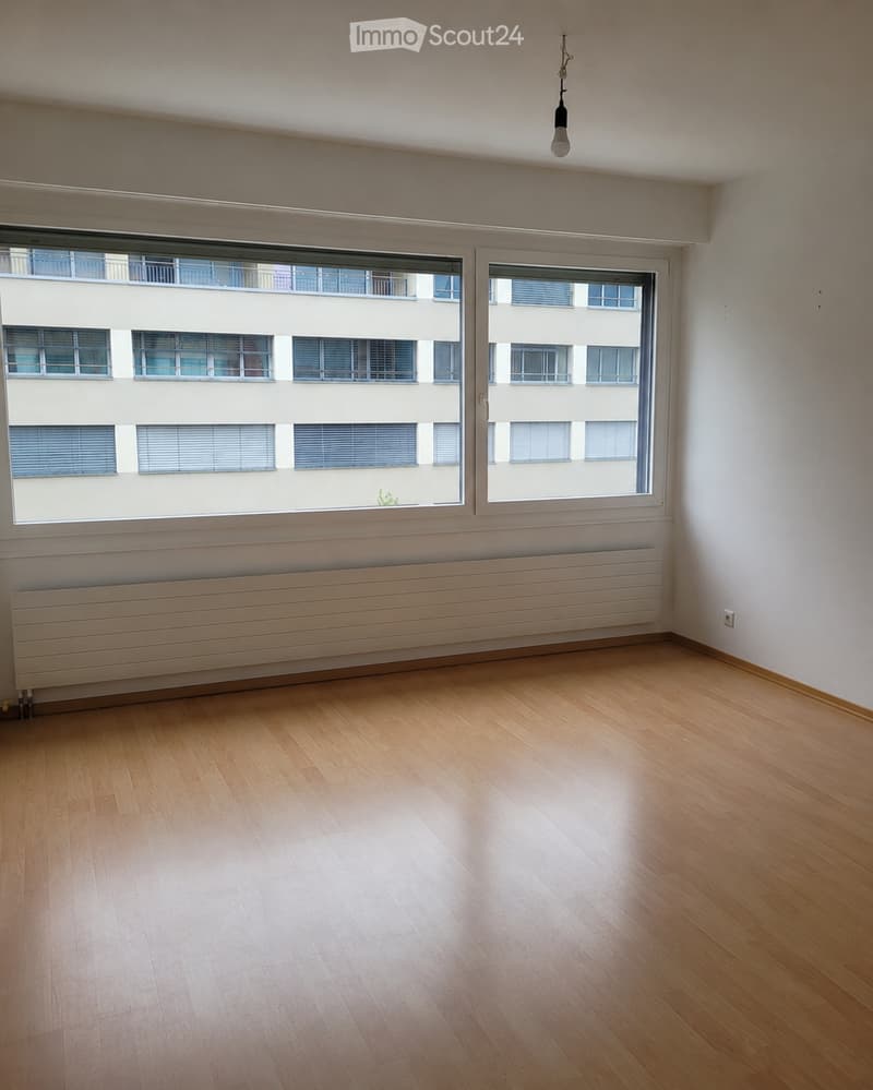 Empty room with wooden flooring, white walls, large windows, radiator, and a single light fixture on the ceiling.