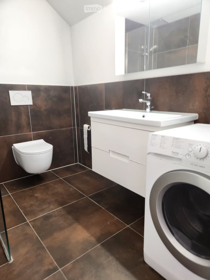 Modern bathroom with dark brown tiles, white sink, toilet, and washing machine. Features a glass shower enclosure and a sleek faucet.