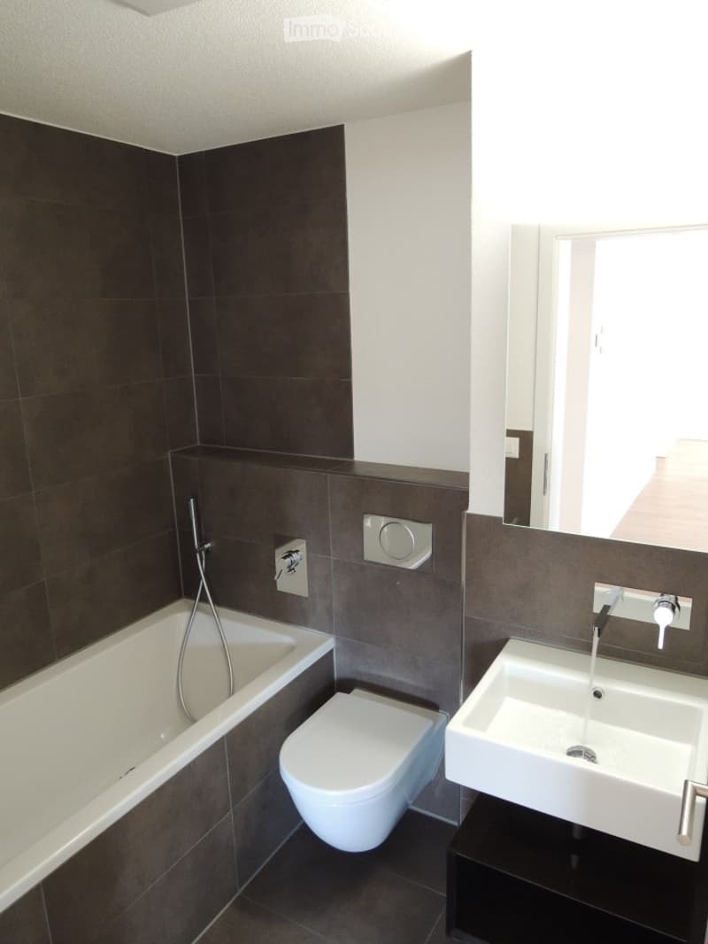 Modern bathroom with dark tiled walls, white bathtub, toilet, and sink, featuring a large mirror and sleek fixtures.