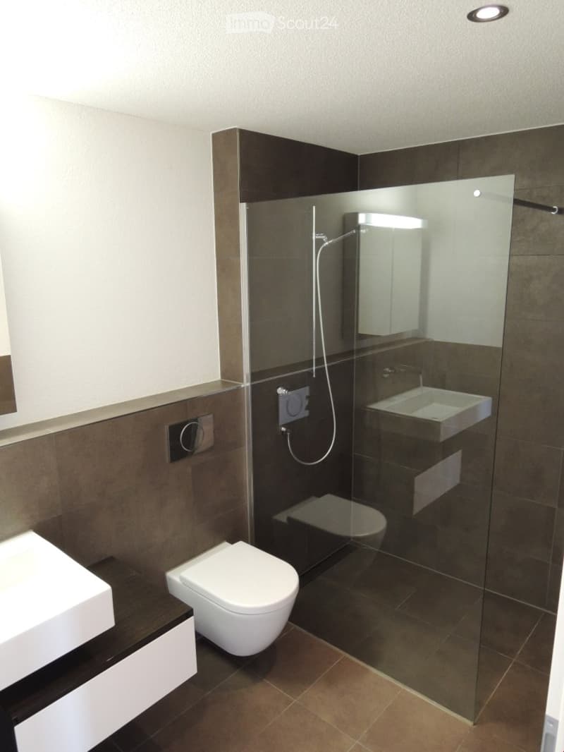 Modern bathroom with dark brown tiles, white fixtures, glass shower enclosure, and two sinks.