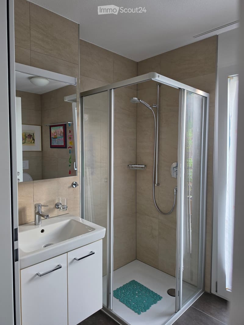 Modern bathroom with a white sink, chrome faucet, large mirror, and a glass-enclosed shower with a handheld showerhead. The shower floor has a green mosaic tile mat.