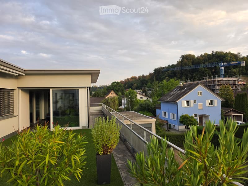 Balcony with green artificial turf, potted plants, and a metal railing overlooking a residential neighborhood with houses and trees.