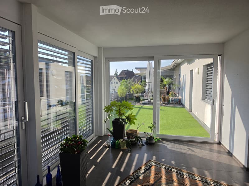 Bright, modern room with large windows and sliding glass doors leading to a green outdoor area. Features include a patterned rug, several potted plants, decorative bottles, and a small table with additional plants.