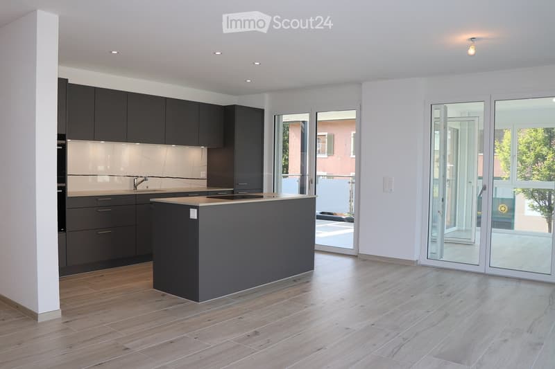 Modern kitchen with dark grey cabinets, a central island, and light wooden flooring. Large glass doors lead to an outdoor area.