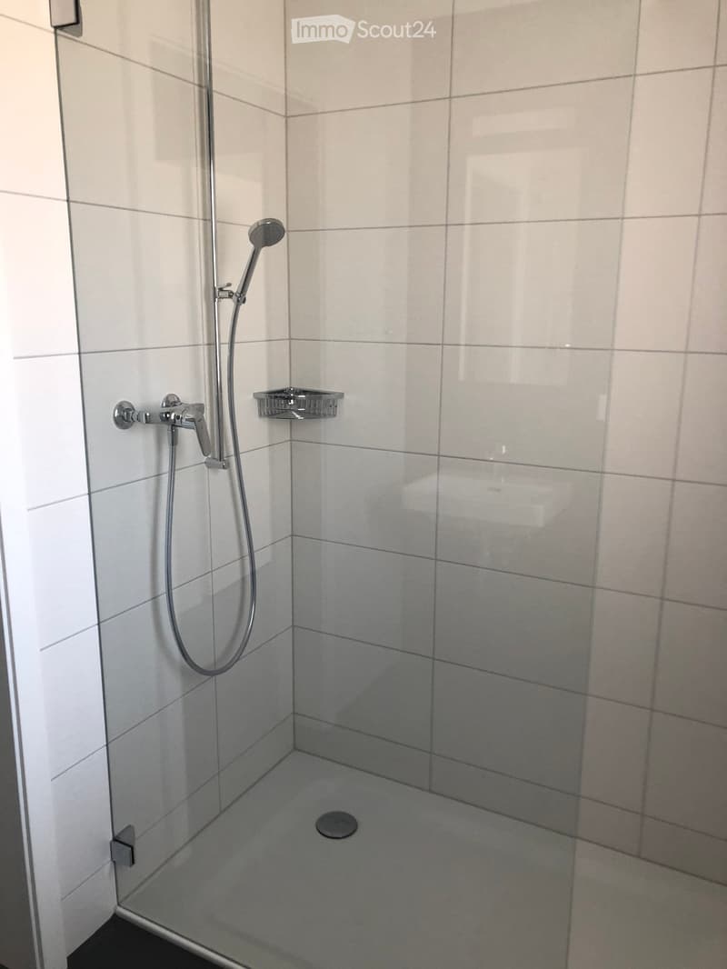 Modern shower area with white tiled walls, glass enclosure, handheld showerhead, and a small shelf for toiletries.