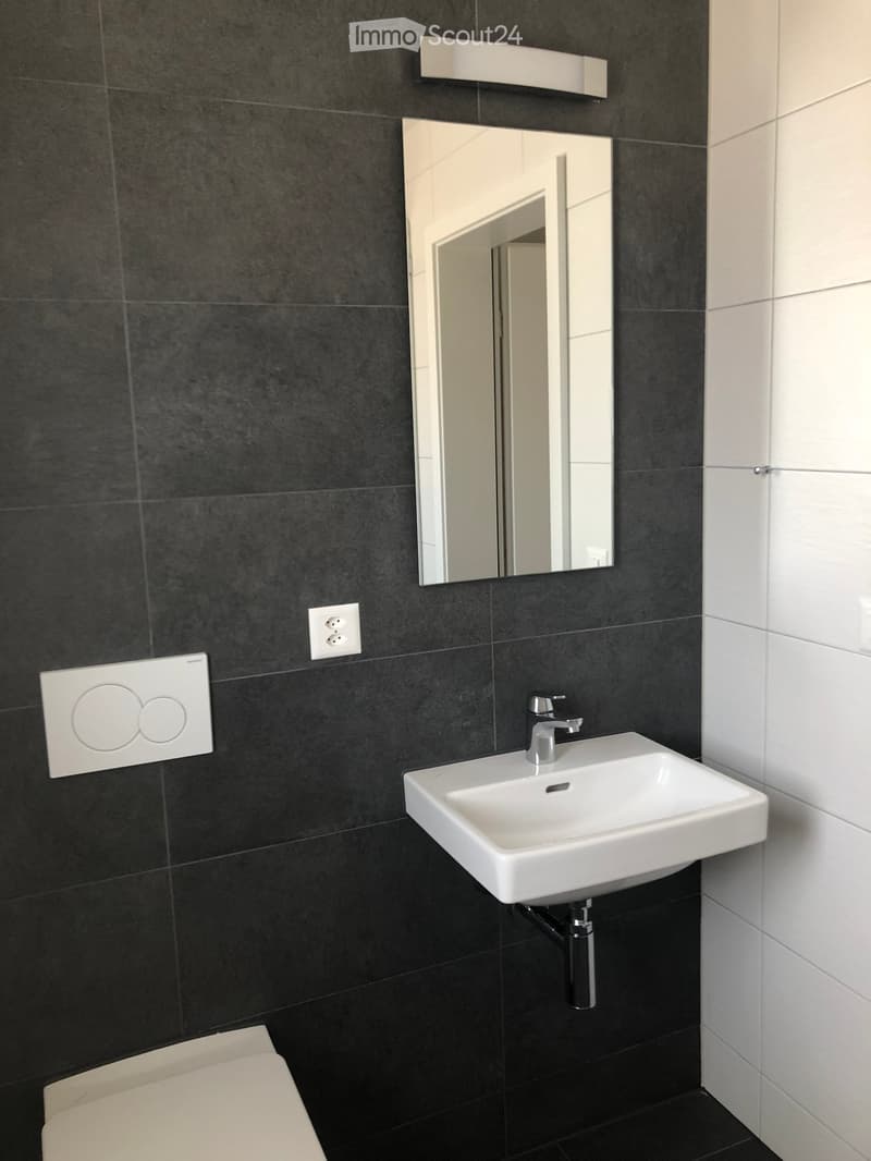 Modern bathroom with dark tiled walls, white sink, chrome faucet, large mirror, and toilet.