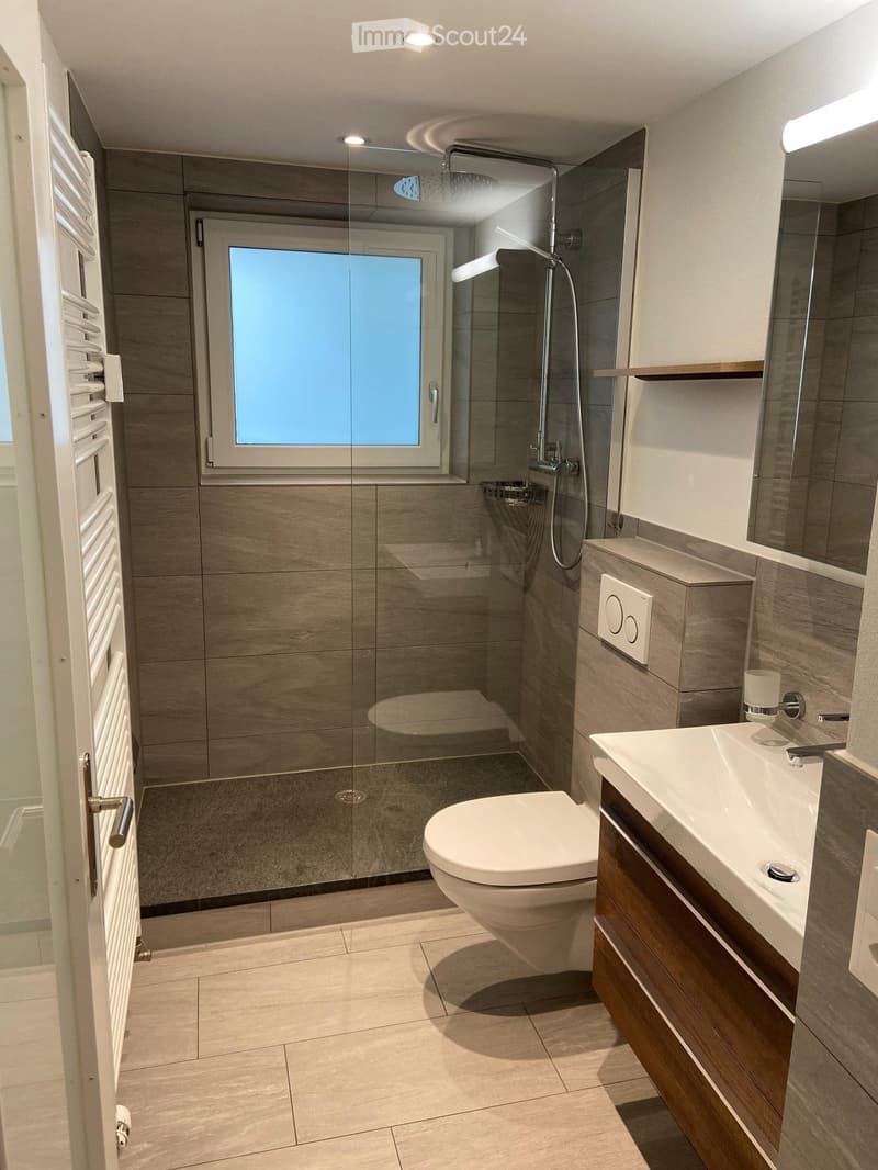 Modern bathroom with a glass-enclosed shower, toilet, sink, and built-in storage. Features include a radiator, a large window, and sleek fixtures.