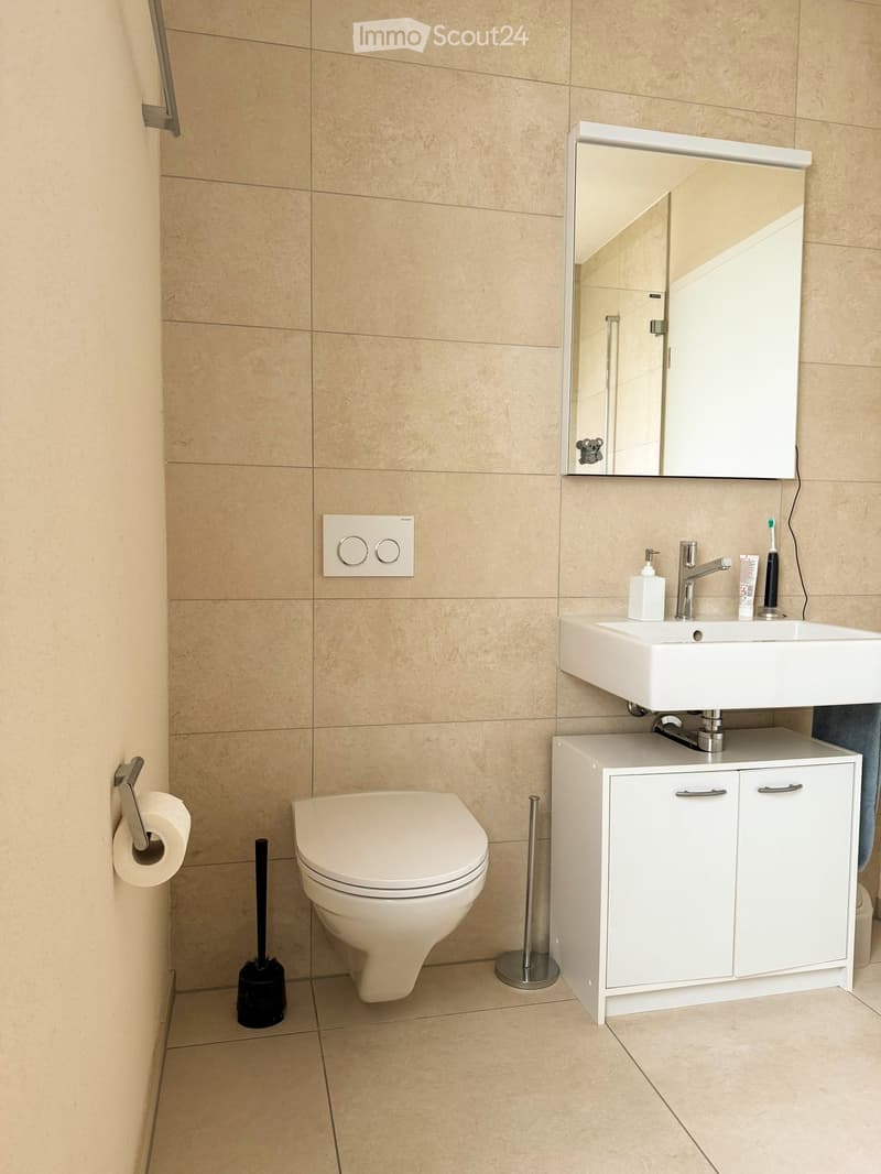 Bathroom with beige tiles, white toilet, sink, mirror, soap dispenser, toothbrush, toilet brush, and cabinet.
