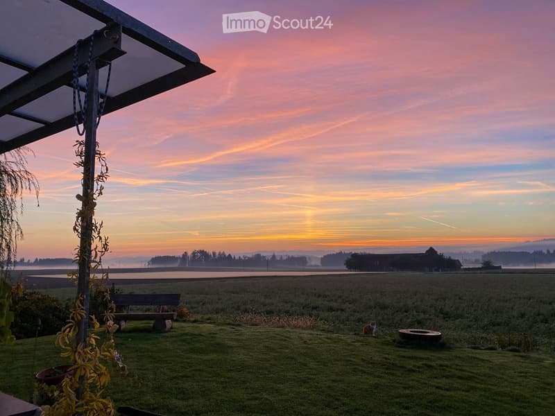 Outdoor area with a bench, cat, and planter, under a canopy, with a view of a field and a sunset sky.