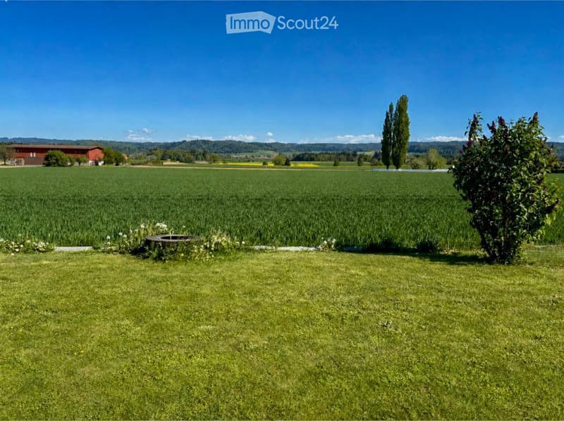 A wide, lush green field with a red barn in the distance, under a clear blue sky.
