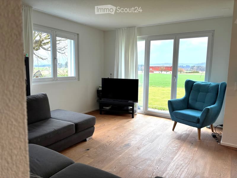 wooden floor, large windows, sliding glass doors, gray sofa, blue chair, flat screen TV, TV stand, view of the field