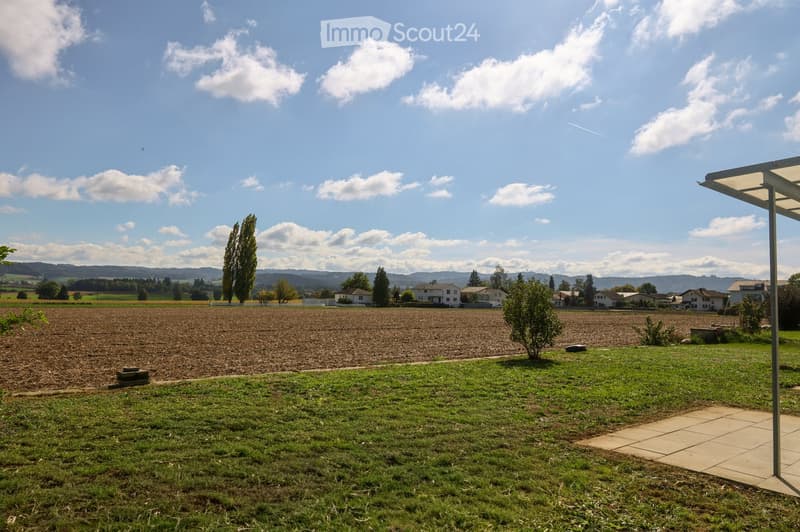 A spacious garden area with a grassy lawn, a paved patio, and a small tree. The background features a cultivated field and distant houses under a partly cloudy sky.