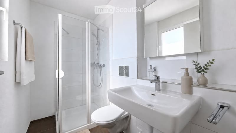 Modern bathroom with white tiles, a glass-enclosed shower, a sink with a mirror, a toilet, and a small plant on the counter.