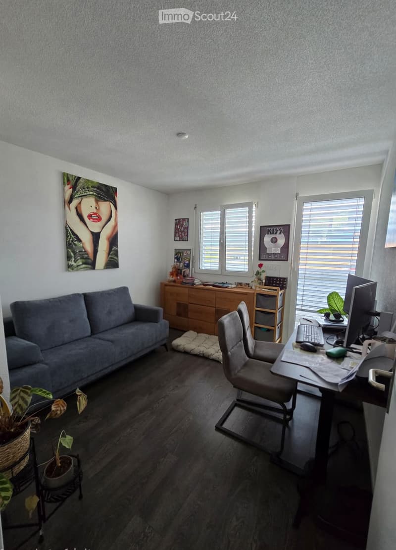 A modern living room with a grey sofa, a wooden cabinet, a desk with a computer, and a chair. The room features large windows with blinds and several decorative items including plants and artwork.
