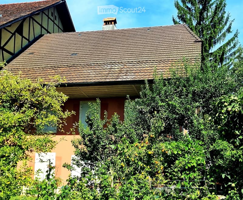 Two-story house with a tiled roof, visible chimney, and partially obscured facade due to surrounding greenery.