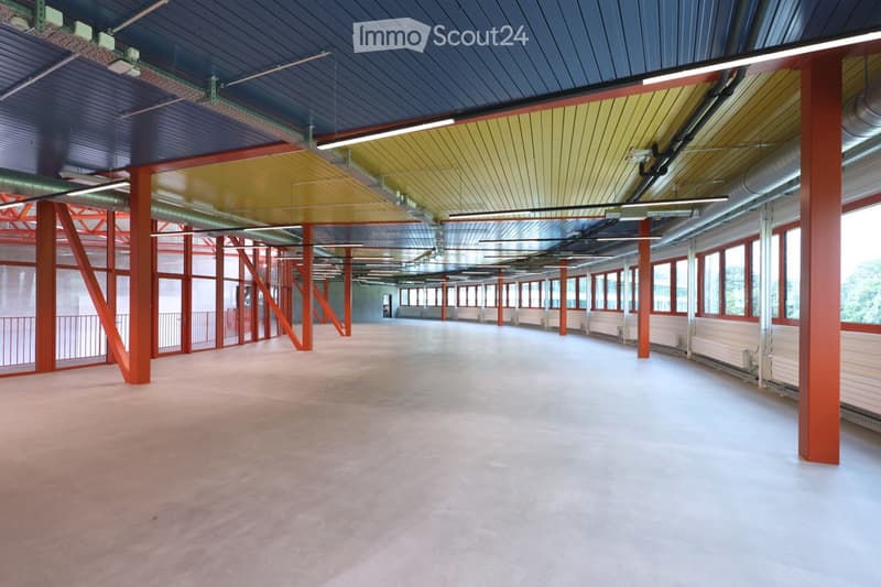 Empty industrial-style room with exposed metal beams, large windows, and a smooth concrete floor.