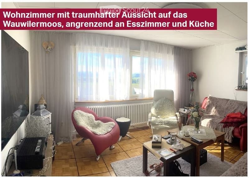 Bright living room with wooden flooring, large windows with sheer curtains, a red leather chair, a white armchair, a sofa, a coffee table with decorative items, and a television on a stand.