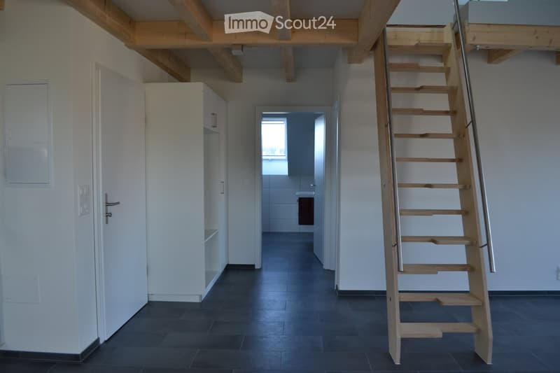 Traumwohnung im idyllischen Bucheggberg (4)