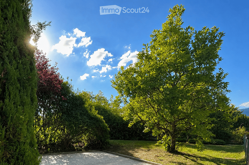 A sunny garden area with a variety of trees and shrubs, a paved pathway, and a clear blue sky with scattered clouds.
