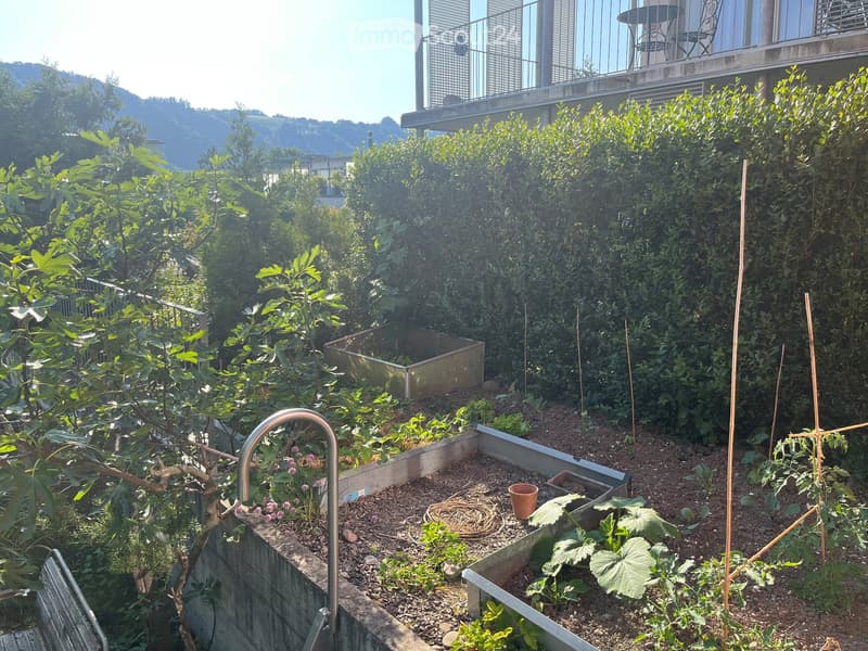 A well-maintained garden with raised beds, various plants, and a hose reel, surrounded by tall hedges and a modern building in the background.