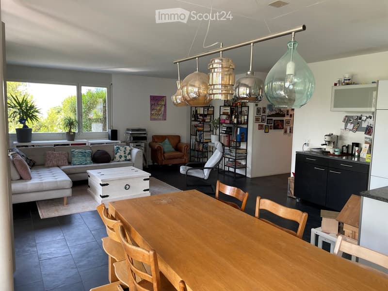 Open-plan living and dining area with a sofa, coffee table, dining table with chairs, bookshelf, kitchen cabinet, pendant lights, and plants near the window.