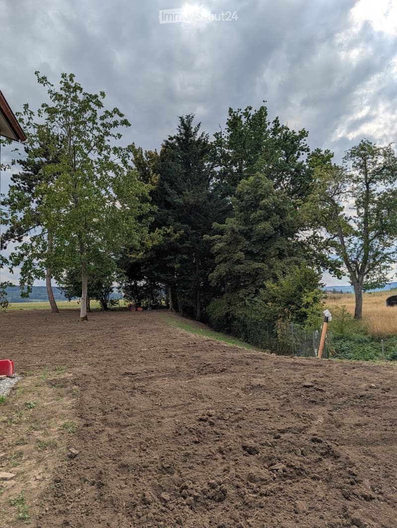 A cultivated garden area with tilled soil, surrounded by trees and greenery, with a tractor visible in the background.
