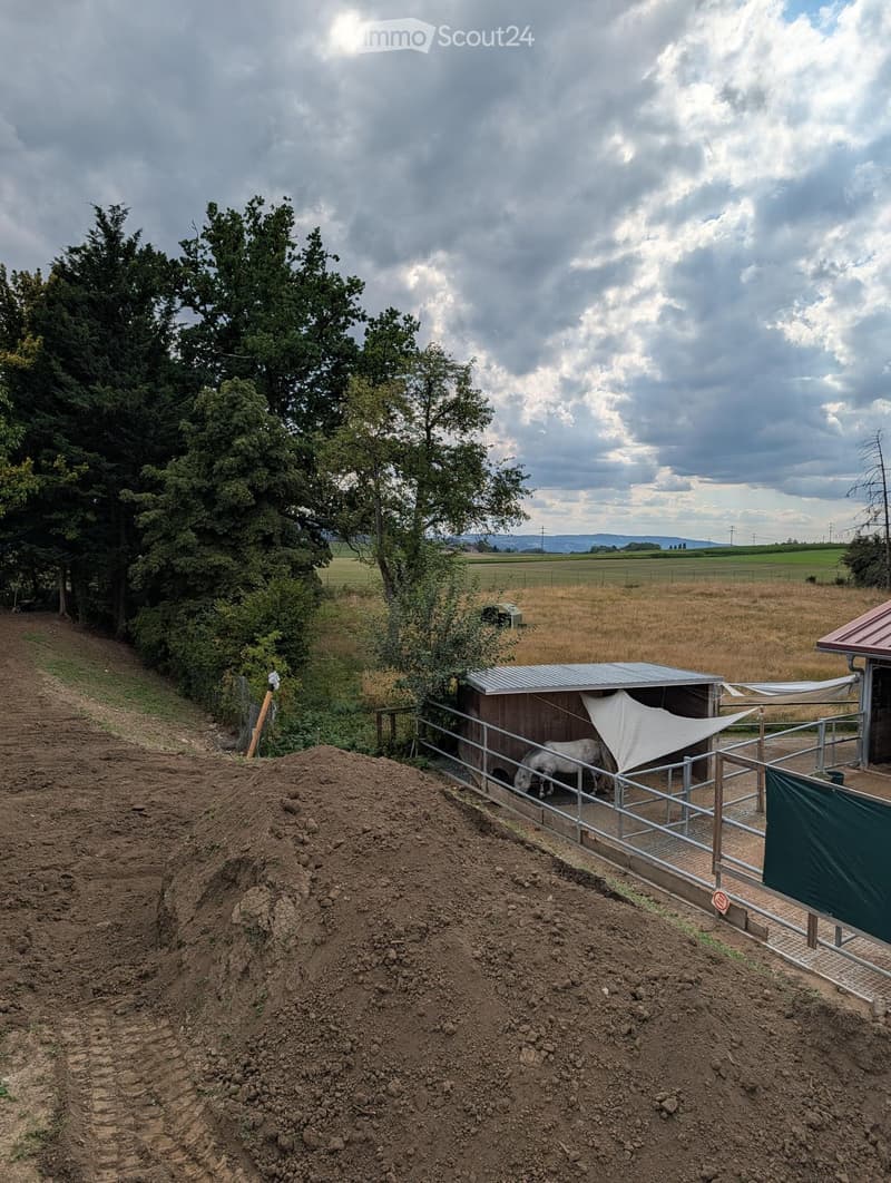 A stable with a horse inside, surrounded by a fenced area, with a dirt ground and a large tree nearby.