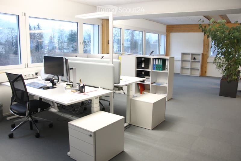 Modern office space with white desks, ergonomic chairs, computer monitors, keyboards, and shelves holding binders and office supplies. Large windows provide natural light, and a potted plant adds a touch of greenery.