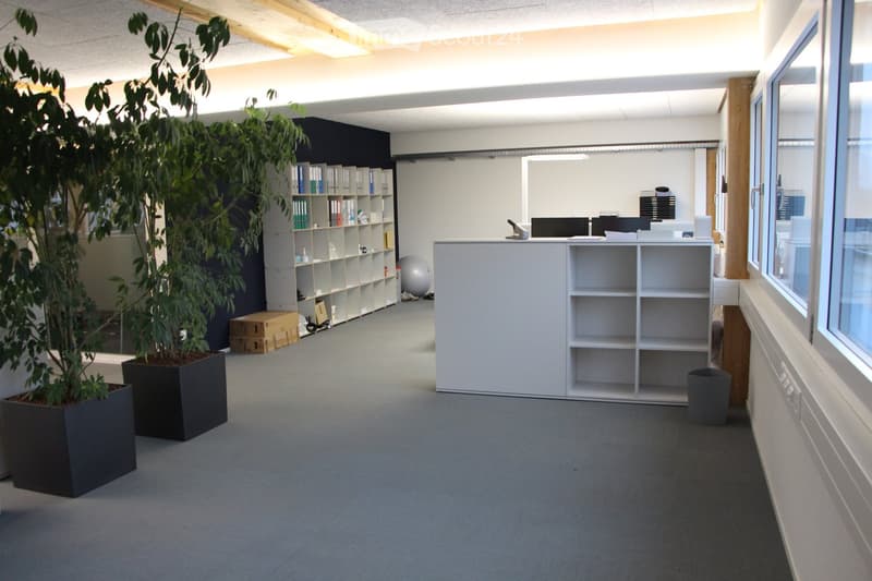 Modern office space with a reception desk, shelves, computers, a large potted plant, and a small exercise ball in the corner.