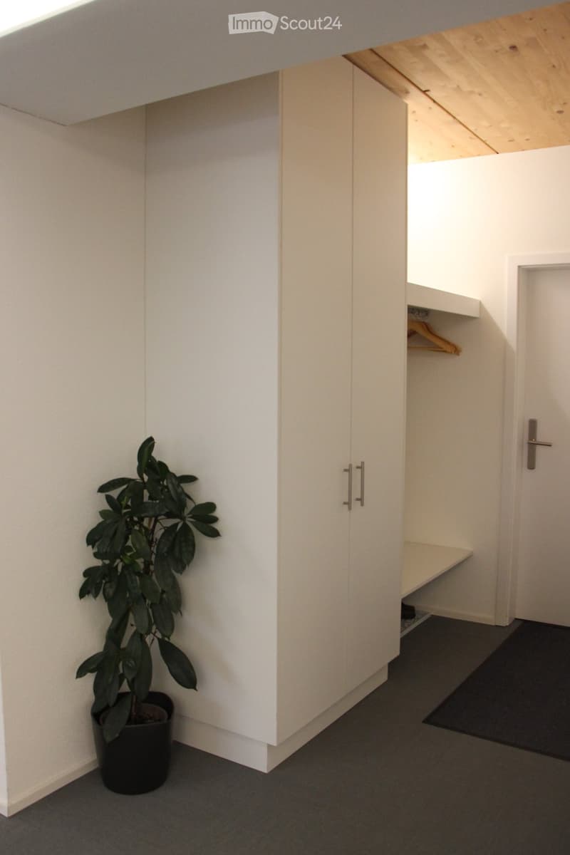 A modern, minimalist walk-in closet with white built-in cabinets, a small shelf, and a potted plant. The floor is carpeted, and the walls are painted white.