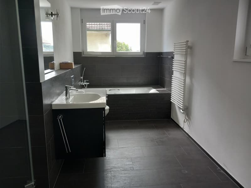 Modern bathroom with dark tiles, a sink with a chrome faucet, a bathtub, a radiator, and a mirror above the sink.