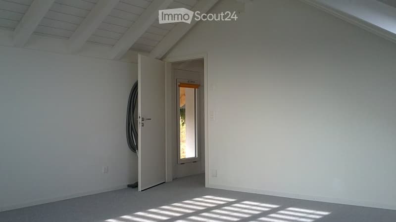 Empty room with white walls, grey carpet, and a large window with blinds allowing natural light to enter. There is a door leading to another room and a hose coiled against the wall.