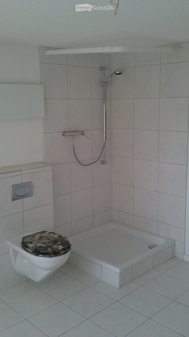 Bathroom with a toilet, bathtub, and showerhead. The toilet has a decorative stone seat cover.