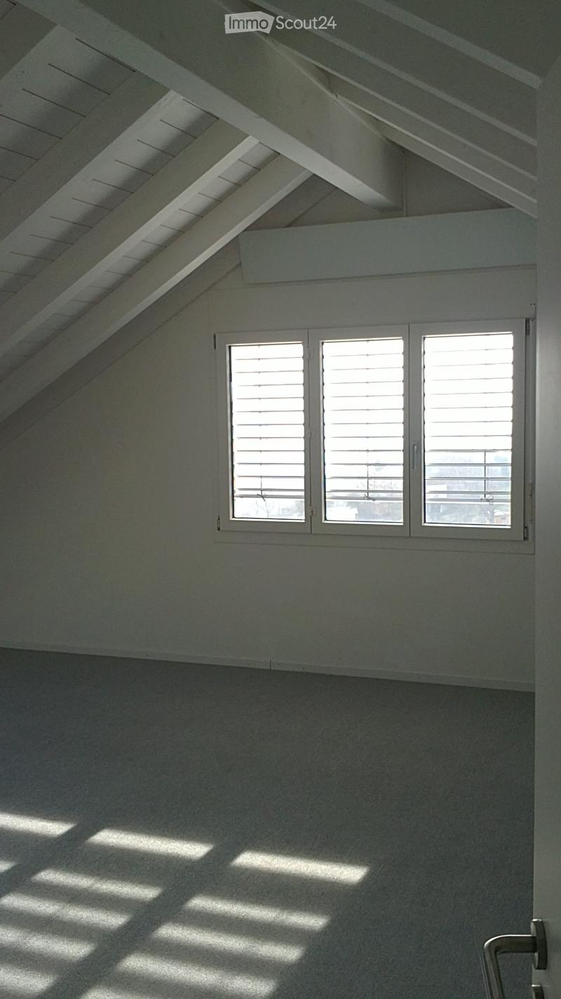 An empty attic or loft space with exposed wooden beams, white walls, and a large window with white shutters allowing natural light to create shadows on the wall.