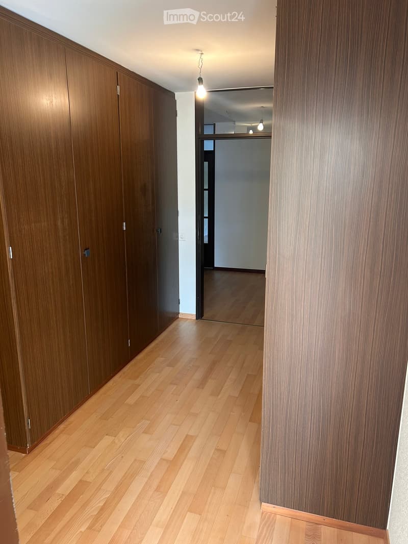 A modern hallway with wooden flooring, sleek wooden wall panels, and recessed lighting. A door at the end leads to another room.