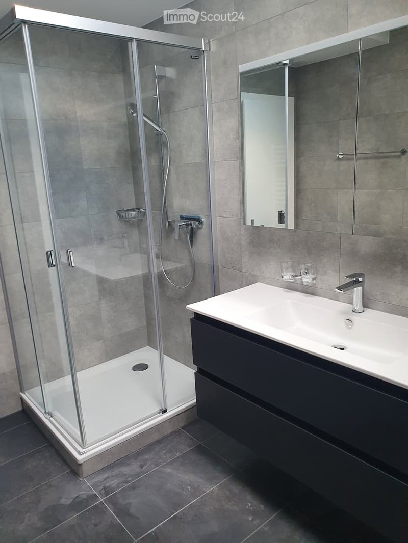 Modern bathroom with a glass-enclosed shower, a white sink with a dark cabinet, and a large mirror above the sink.