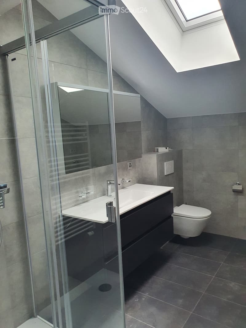 Modern bathroom with a white sink, dark cabinet, toilet, and a glass-enclosed shower area. The room features grey tiles and a skylight window.