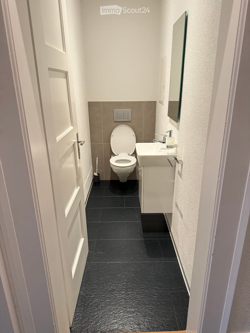 compact bathroom with toilet, sink, and mirror