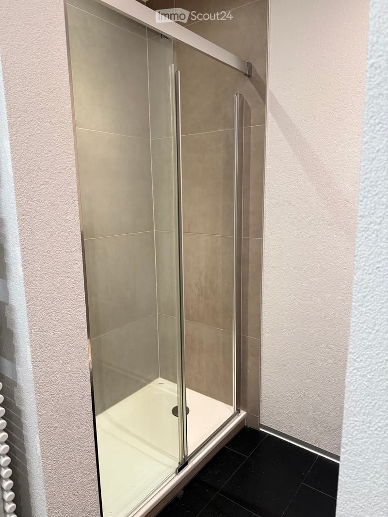 Modern shower stall with a glass door and silver handles