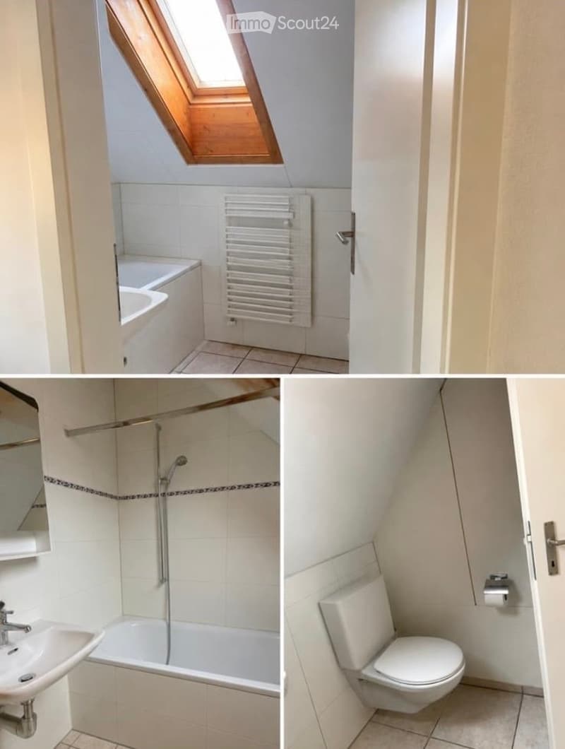 Bright, compact bathroom with a skylight window, white tiles, a bathtub, sink, toilet, shower, and a radiator.